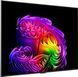 Телевізор LG OLED55G64LW