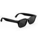 Розумні окуляри Meta Adventurer Standard Classic Black Frame / Grey Lenses (SK-1001885-01)