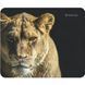 Килимок для мишi DEFENDER Wild Animals 220x180x2mm 8 видів
