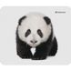 Килимок для мишi DEFENDER Wild Animals 220x180x2mm 8 видів